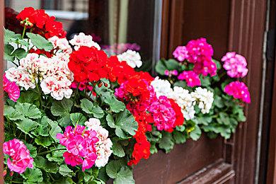 《女神异闻录3 Reload》开场动画 2月2日发售